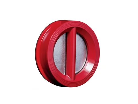 Dual Plate Check Valve