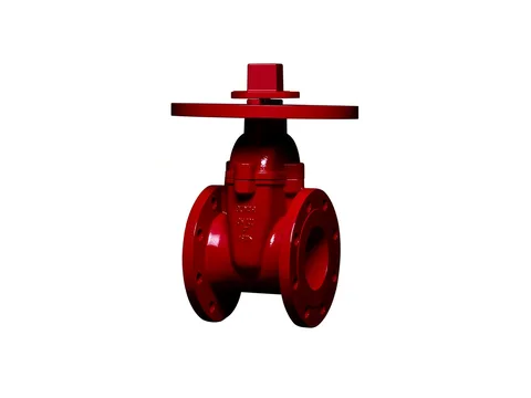 NRS Gate Valve
