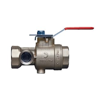 Test & Drain Valve