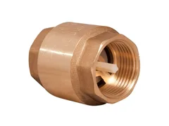 Brass Check Valve With Spring (Threaded, PN 16)