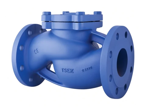 Check Valve (With Spring PN 16)