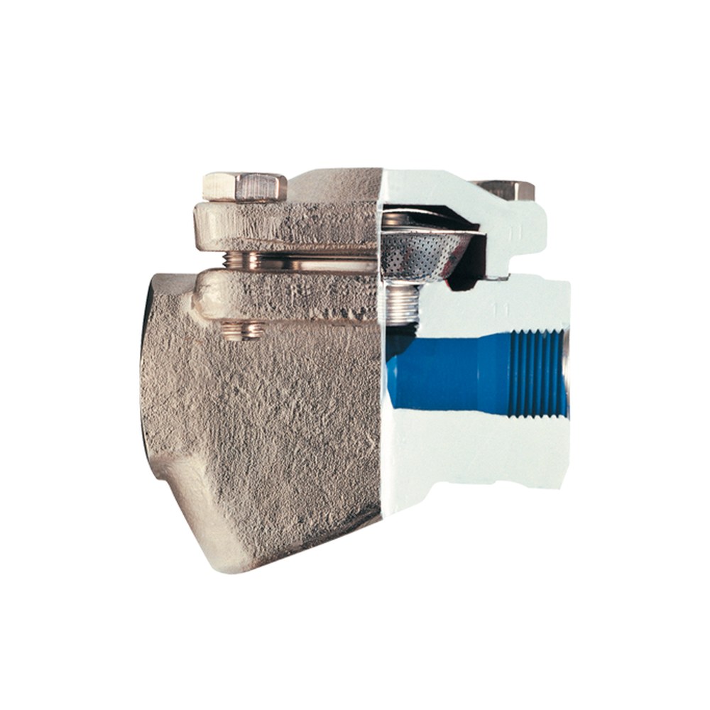 Thermostatic Steam Trap | Desan Engineering