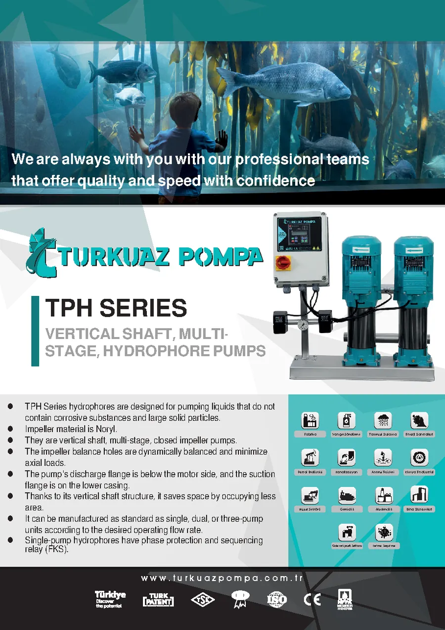 TPH Vertical Multistage Hydrophore Pumps